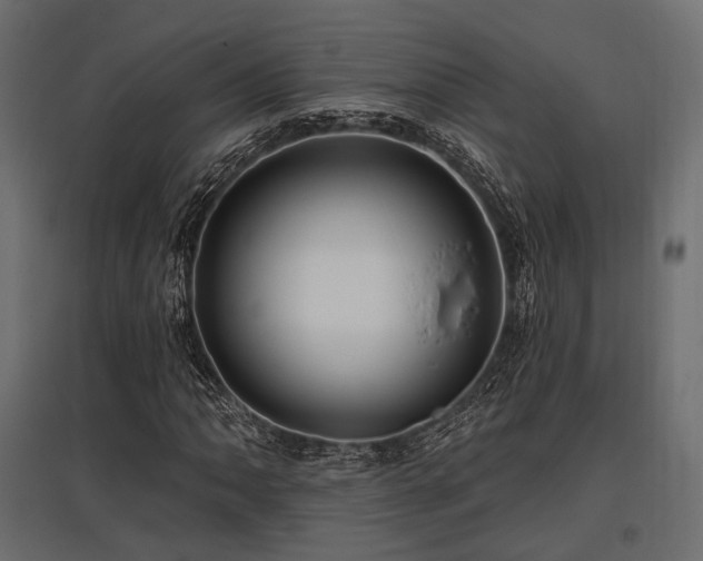 X0000097771062200803071312