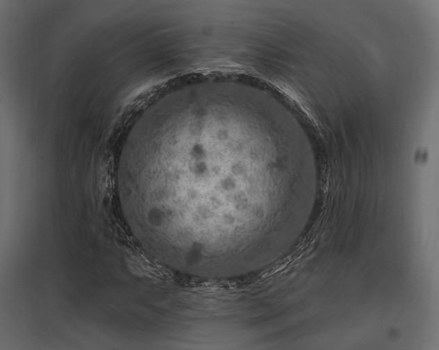 X0000097771063200803071312