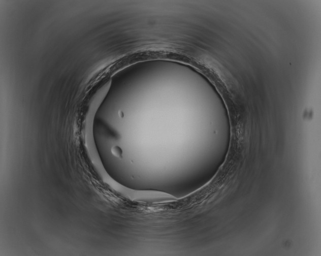 X0000097771064200803071312