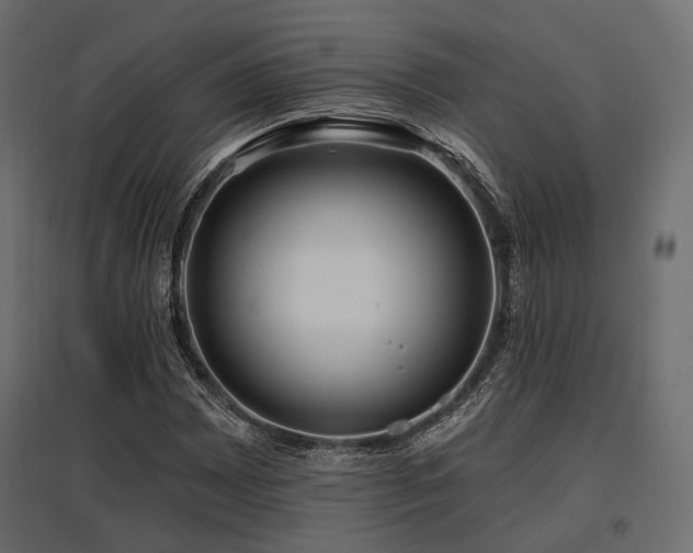 X0000097771065200803071312