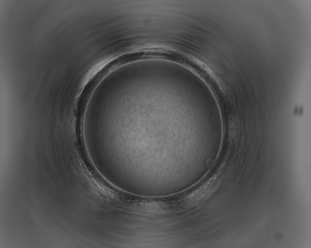 X0000097771066200803071312
