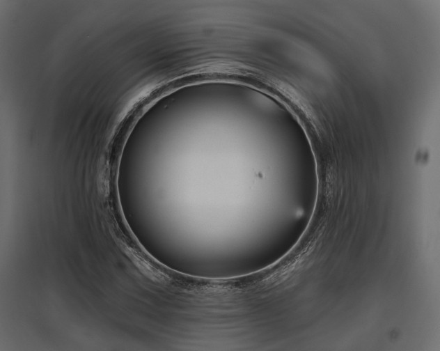 X0000097771067200803071312