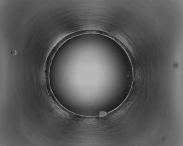 X0000097771068200803071312