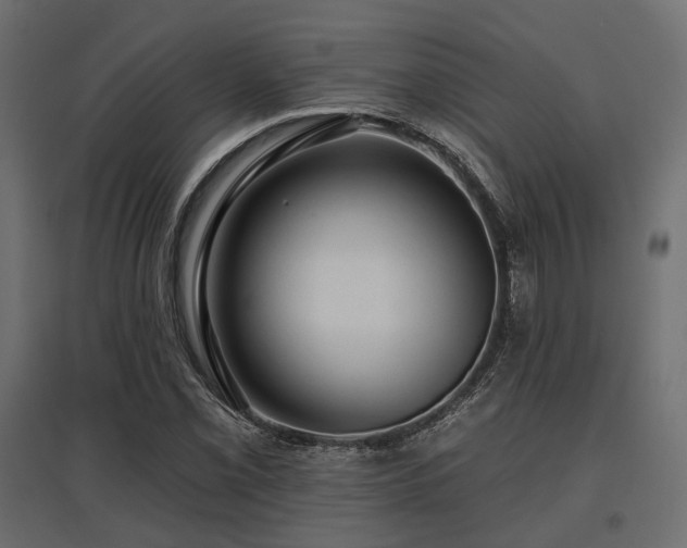 X0000097771069200803071312