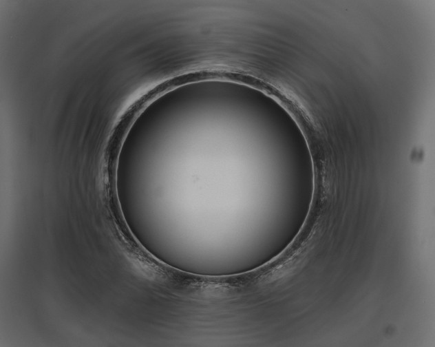X0000097771070200803071312
