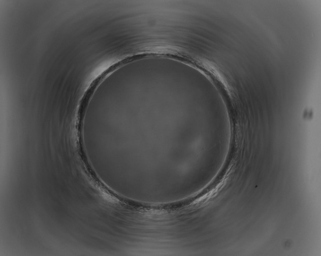 X0000097771071200803071312