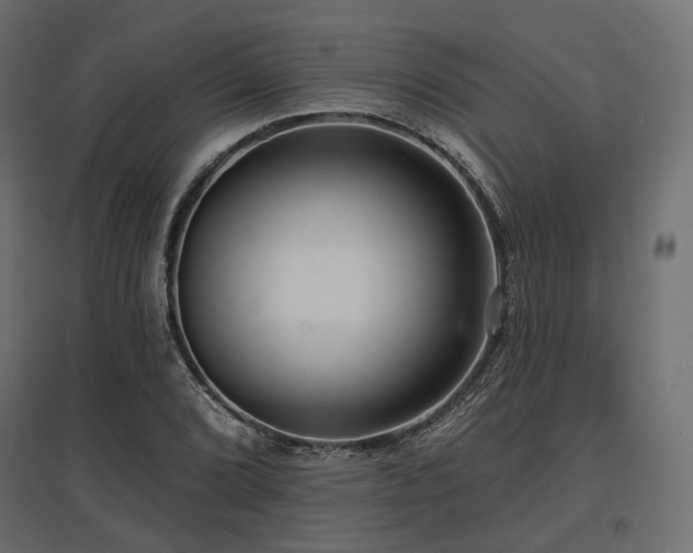 X0000097771072200803071312