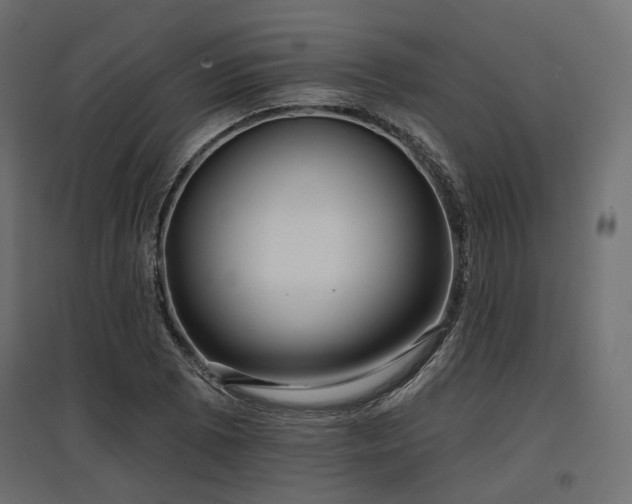 X0000097771073200803071312