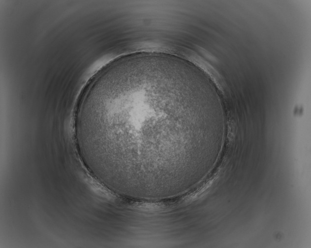 X0000097771074200803071312