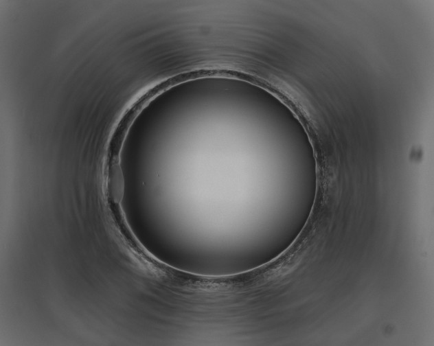 X0000097771076200803071312