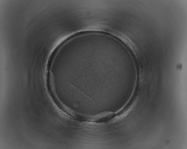 X0000097771077200803071312