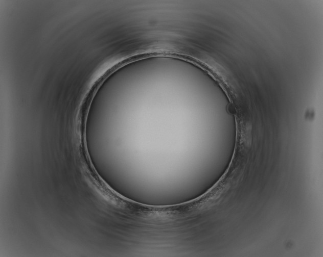 X0000097771078200803071312