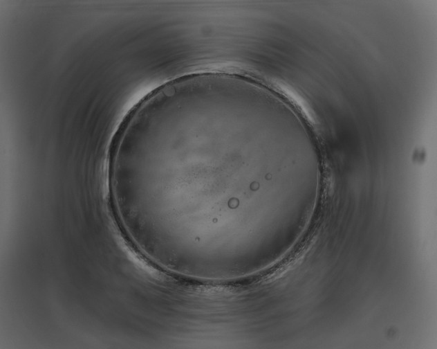 X0000097771079200803071312