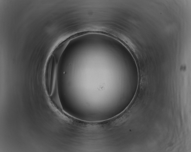 X0000097771080200803071312