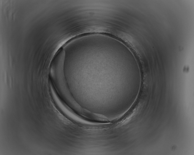 X0000097771081200803071312