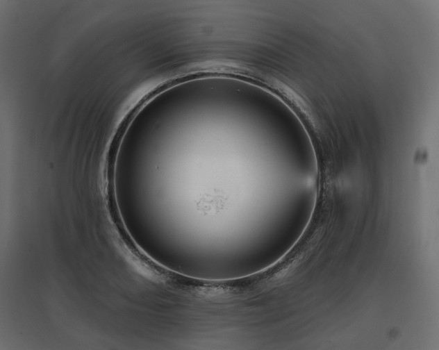 X0000097771082200803071312