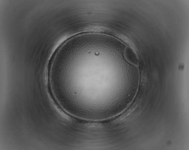 X0000097771083200803071312