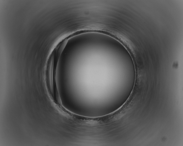 X0000097771085200803071312