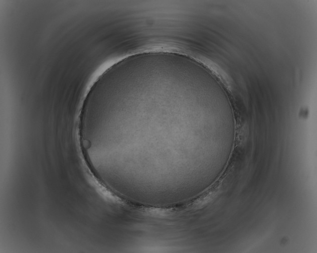 X0000097771086200803071312
