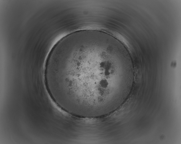 X0000097771087200803071312