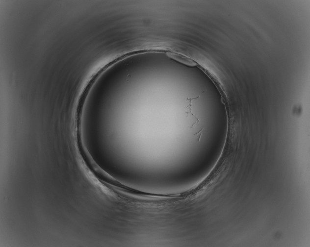 X0000097771088200803071312