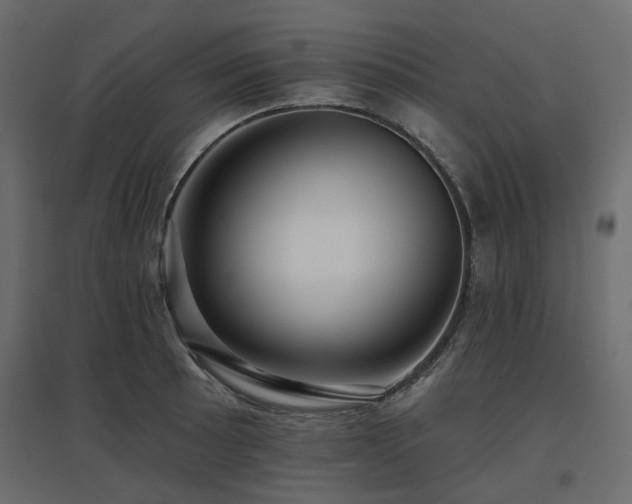 X0000097771089200803071312