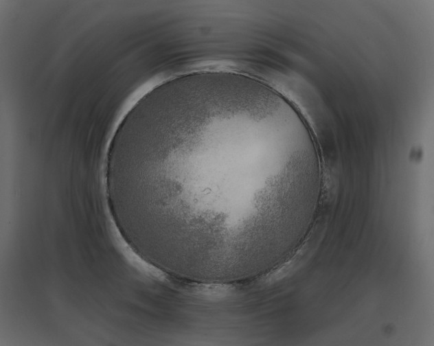 X0000097771090200803071312