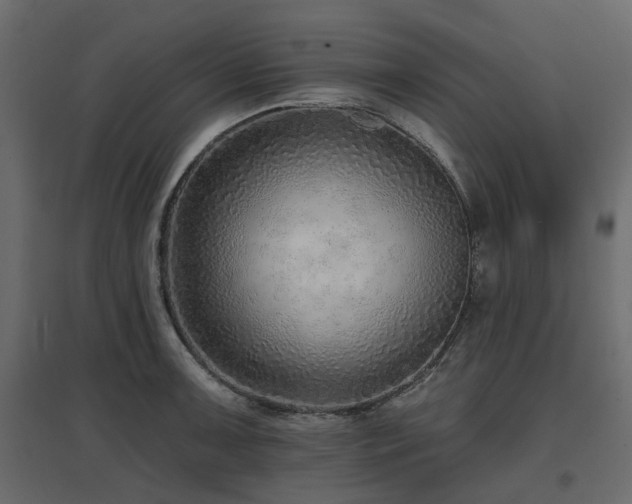 X0000097771091200803071312