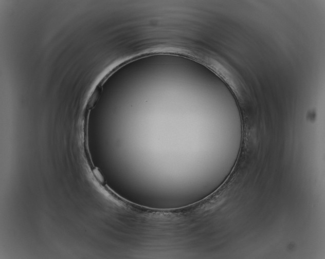 X0000097771092200803071312