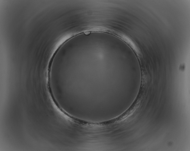 X0000097771095200803071312