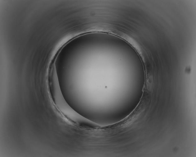 X0000097771096200803071312