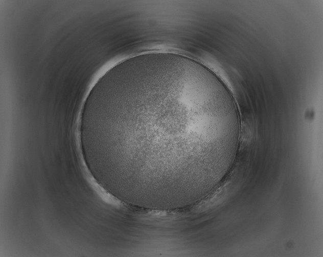 X0000097771098200803071312