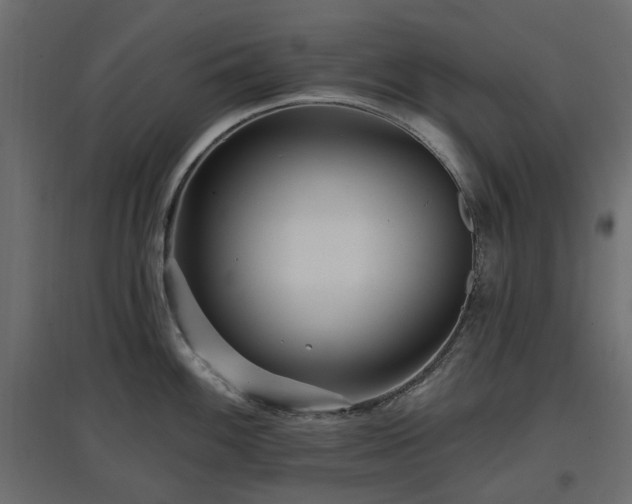 X0000097771100200803071312