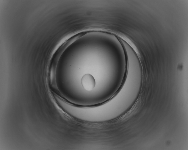 X0000097771101200803071311