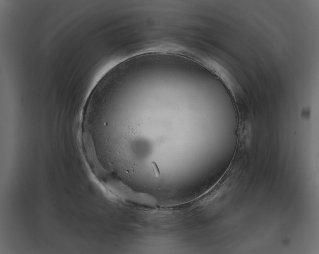 X0000097771103200803071311