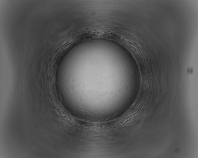 X0000097771105200803071311
