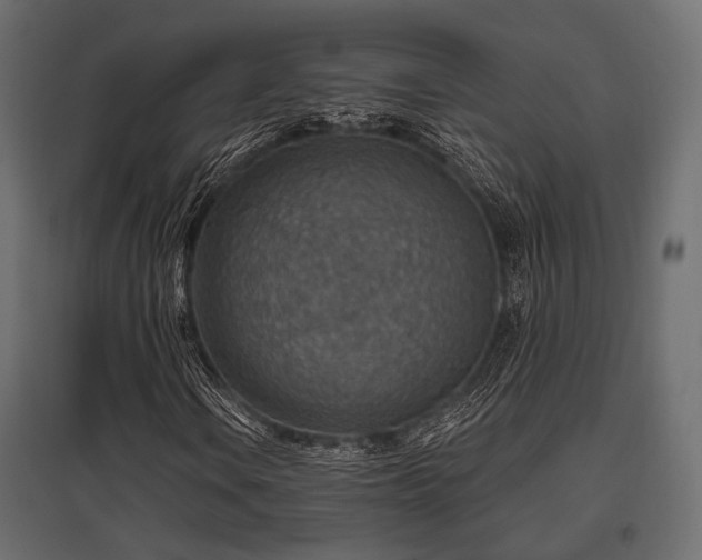 X0000097771106200803071311