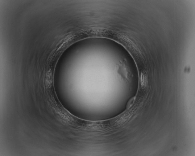 X0000097771107200803071311