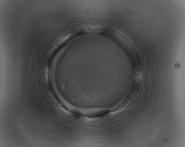 X0000097771108200803071311