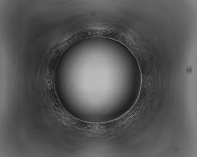 X0000097771109200803071311