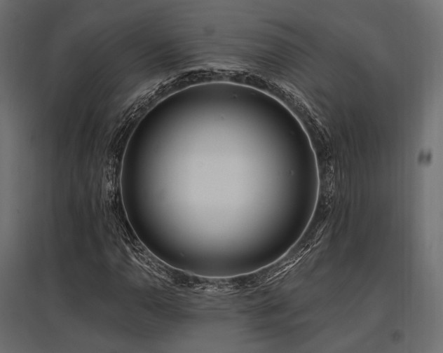 X0000097771110200803071311