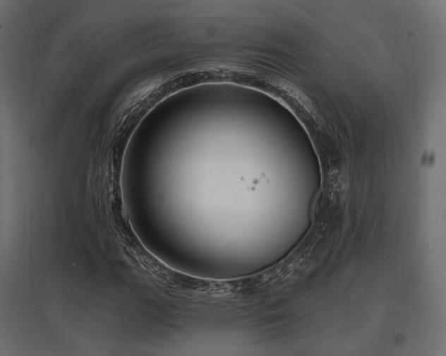 X0000097771111200803071311