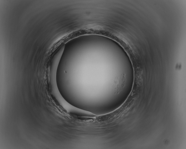 X0000097771112200803071311
