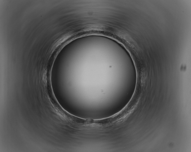 X0000097771113200803071311