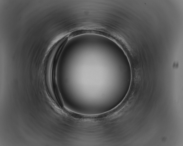 X0000097771114200803071311