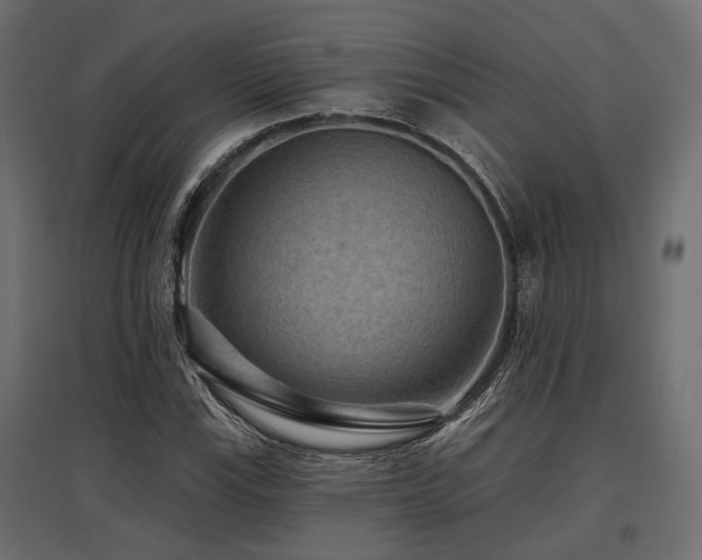 X0000097771115200803071311