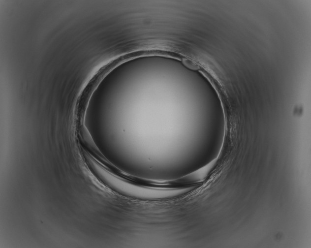 X0000097771116200803071311