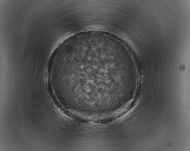 X0000097771117200803071311