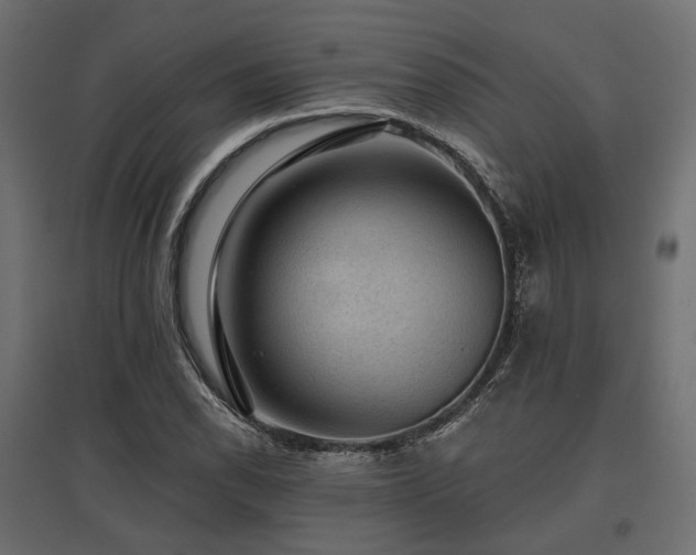 X0000097771118200803071311