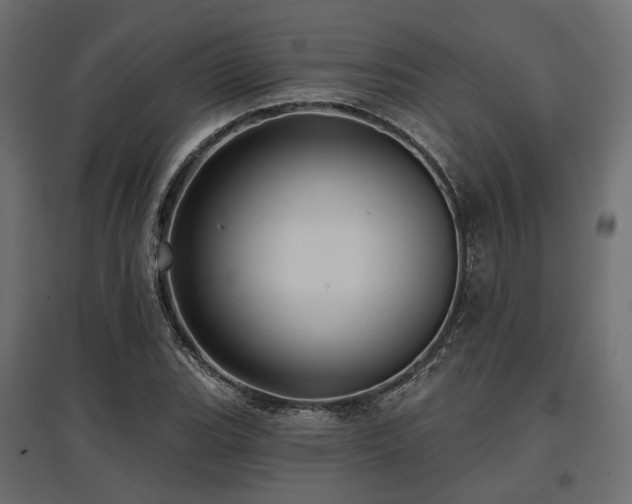 X0000097771119200803071311